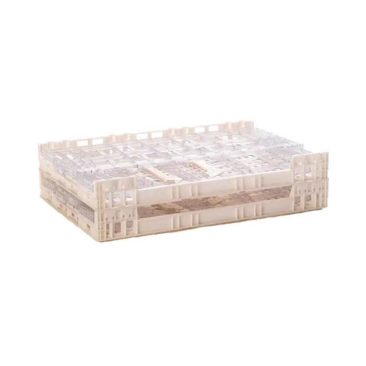 Contenedor plástico Crystal Clear - Caja 32 cm