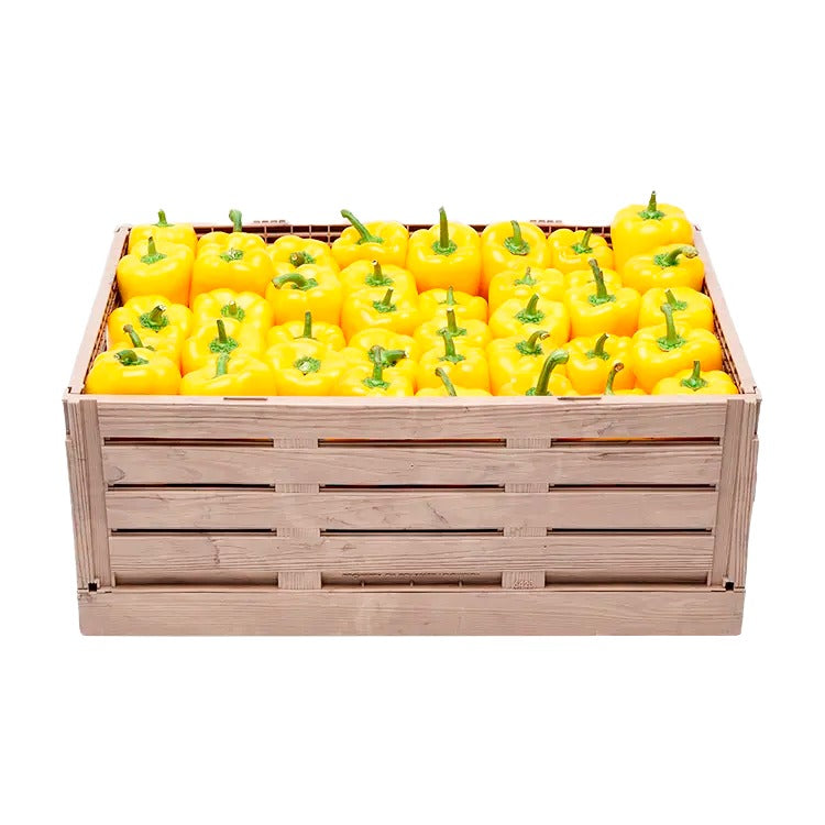 Contenedor de plástico Wood Look grande 40x60 alto 19 cm