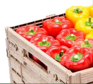 Exhibidor de plástico de frutas y verduras ideal para mantener frescos los alimentos

